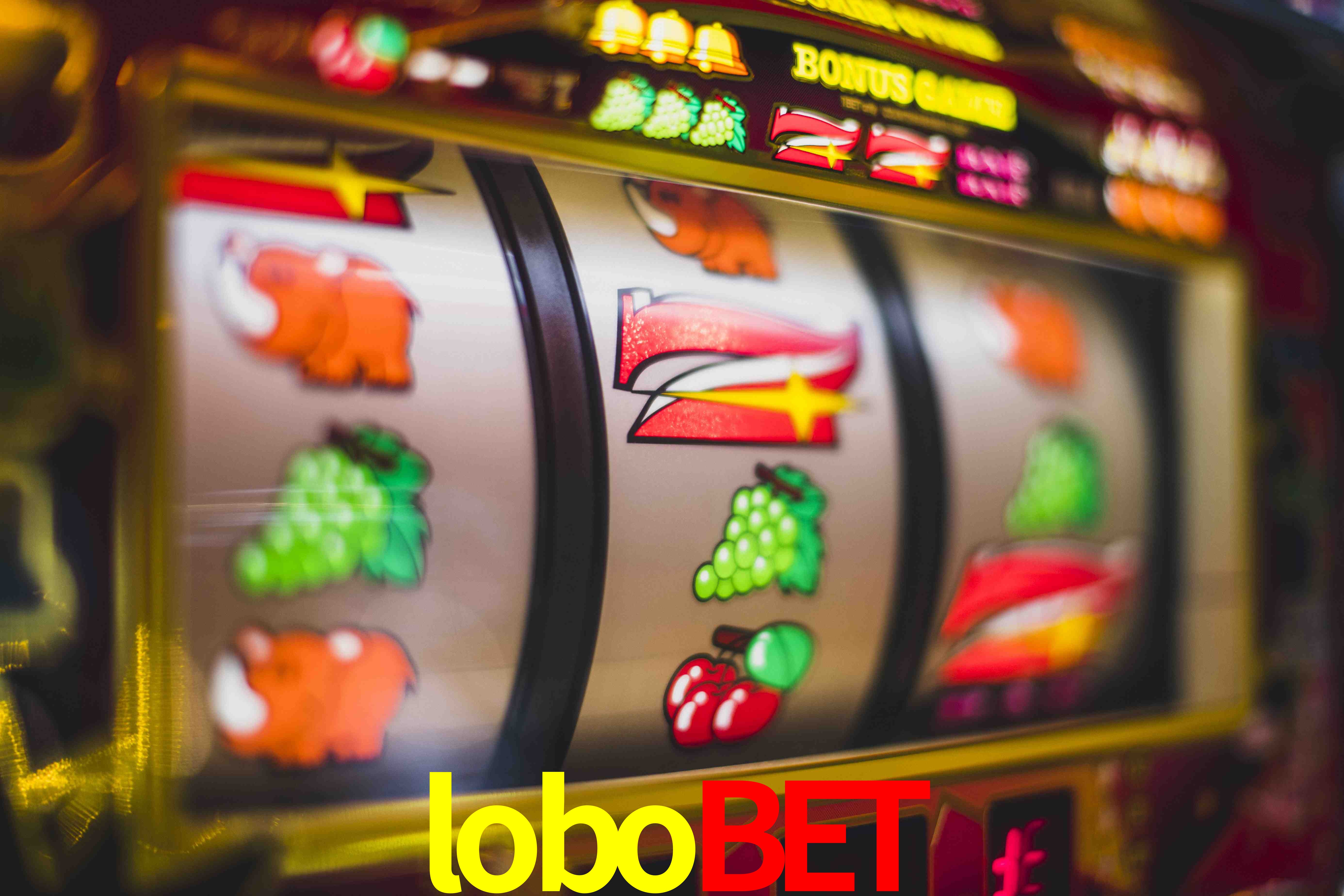 Football Betting lobobet
